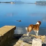 Vista E Fronte Mare Villa